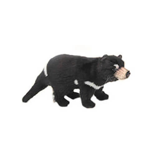  Hansa Demonio de Tasmania