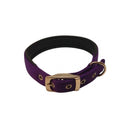 Nylon Padded Collar (Purple)