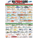  Tarjeta de identificación de peces de vinilo