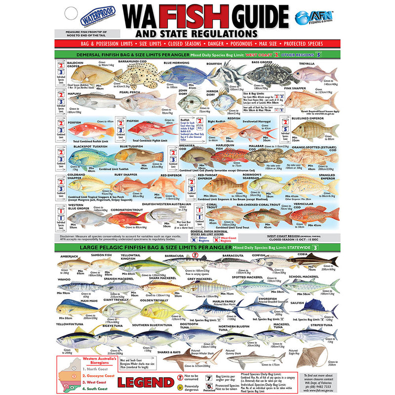  Tarjeta de identificación de peces de vinilo