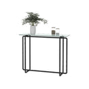 Elegant Single Layered Glass Console Table