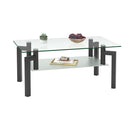 Double Layer Glass Coffee Table w/ Metal Legs