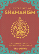 Little Bit of Shamanism Book