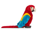 Living Nature Red Macaw