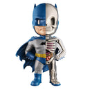  Figura de anatomía divertida XXRAY