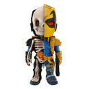  Figura de anatomía divertida XXRAY