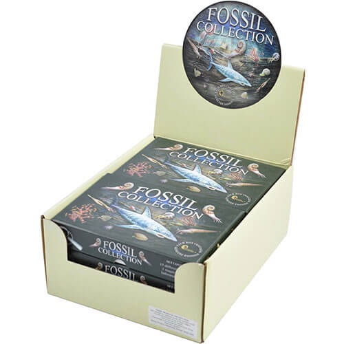British Fossils Fossil Collection Kit