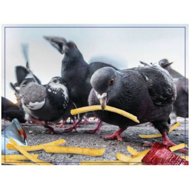 Puzzle de broma Haciendo cosas 300 piezas