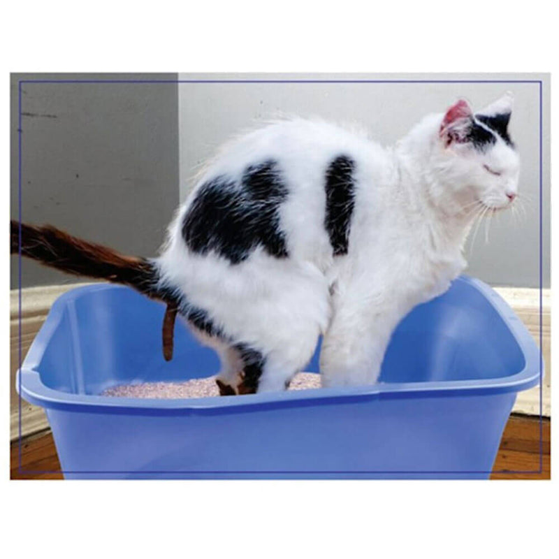 Puzzle de broma Haciendo cosas 300 piezas