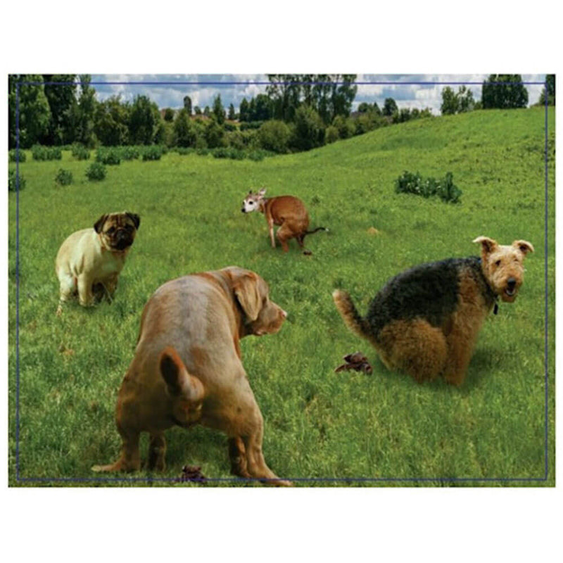 Puzzle de broma Haciendo cosas 300 piezas